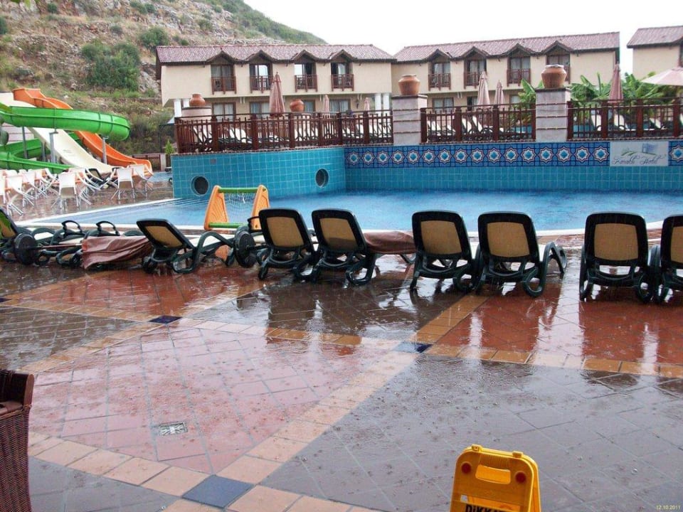 Animation? NoxInn Club