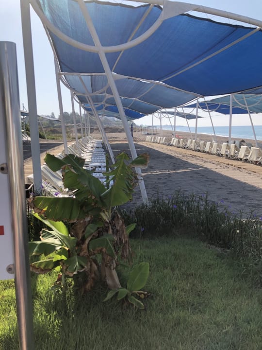 Strand Seaden Sea Planet Resort & Spa