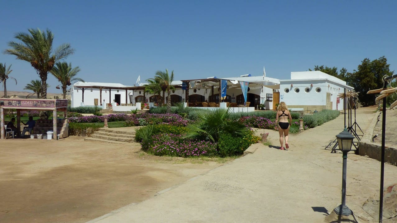 Extra Divers Tauchbasis Three Corners Equinox Beach Resort