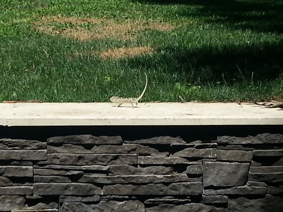 Gartenanlage Voyage Belek Golf & Spa