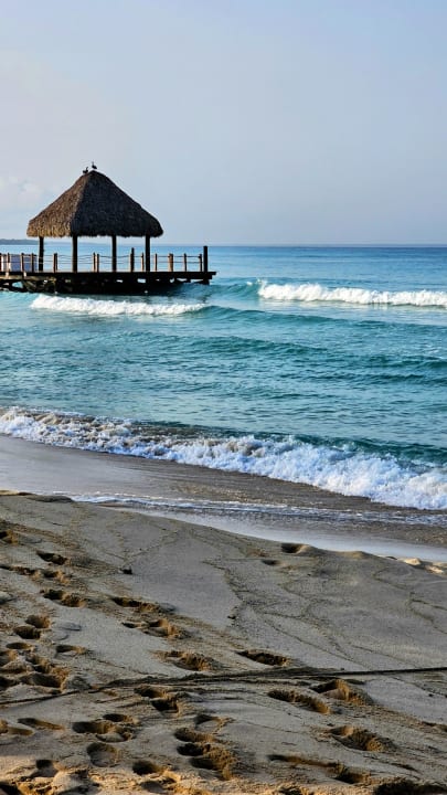 Strand Catalonia Royal La Romana - Adults only