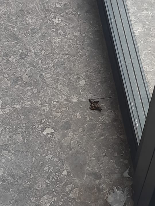 Sonstiges Relax Beach Hotel