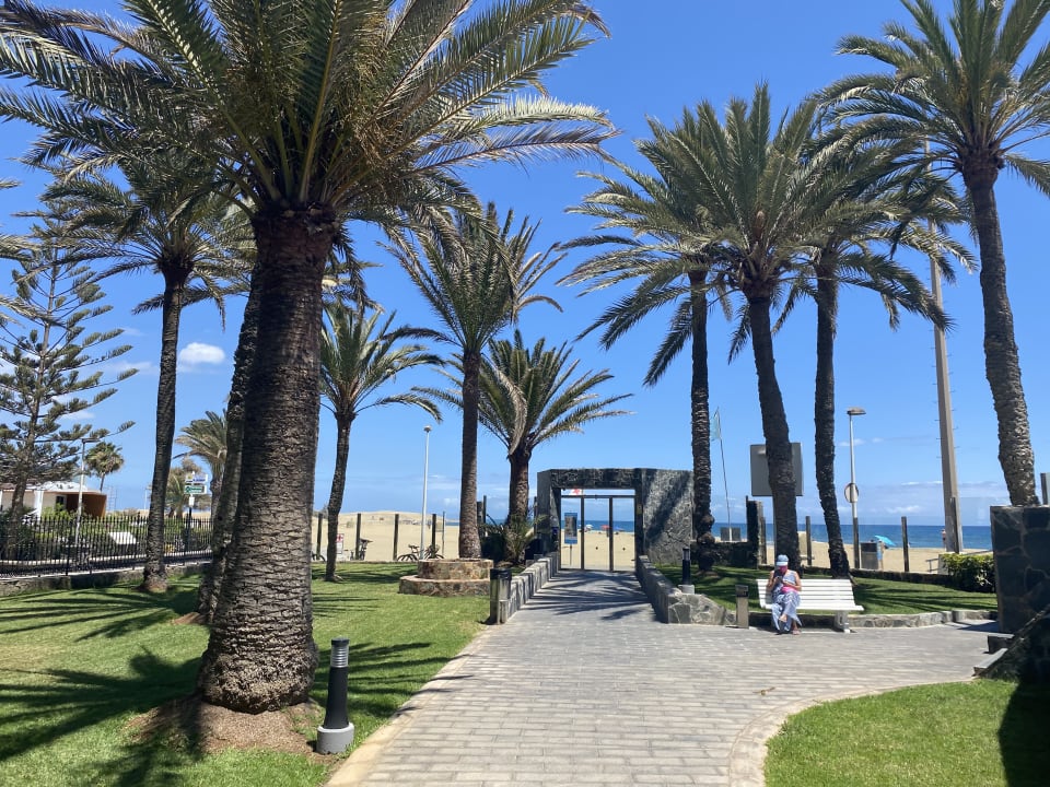 Gartenanlage Hotel Riu Palace Oasis