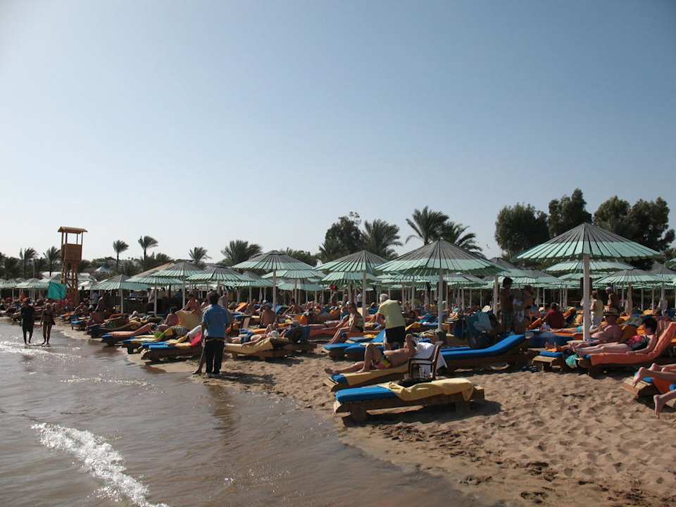 Total überfüllt Ghazala Gardens