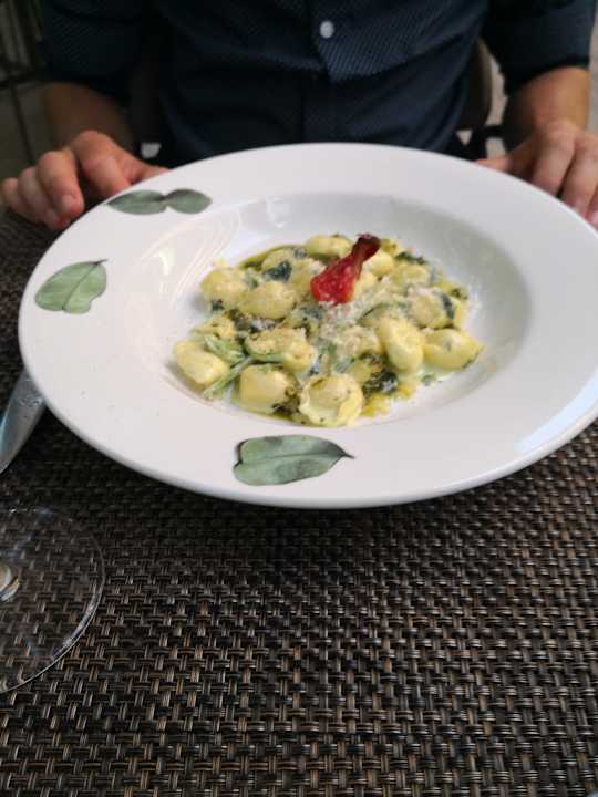 Gastro Acanthus Cennet Barut Collection