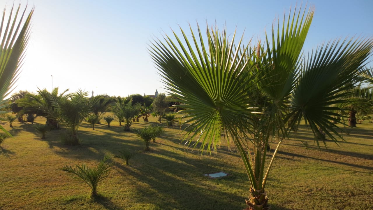 Traumhaft Seaden Sea World Resort & Spa