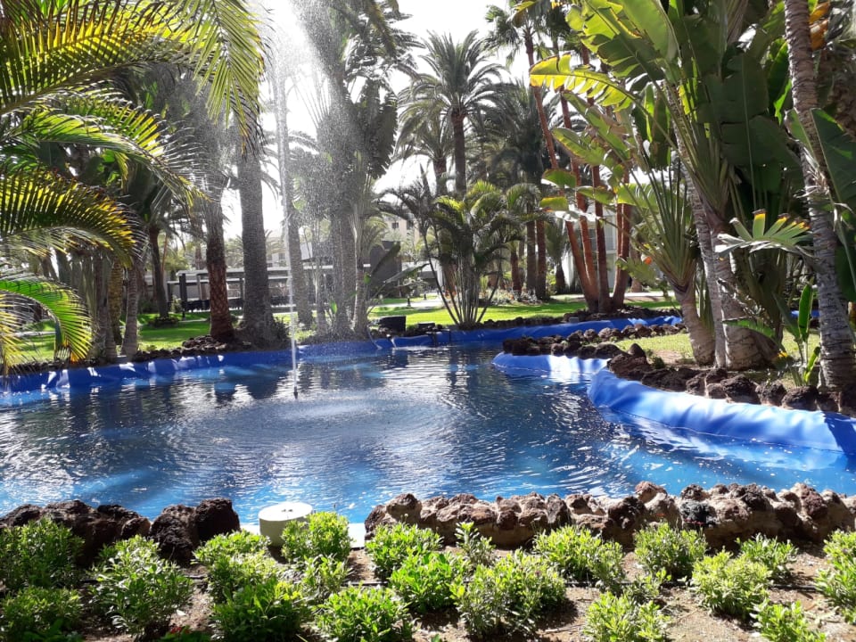 Gartenanlage Hotel Riu Palace Oasis