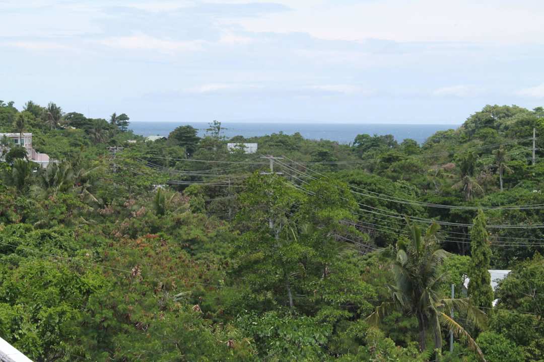 View from roof top Roger's Place Gay Guesthouse