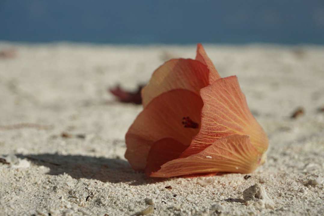 Meeru Meeru Maldives Resort Island