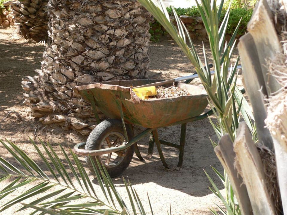 Gartenanlage Hotel Meninx Djerba