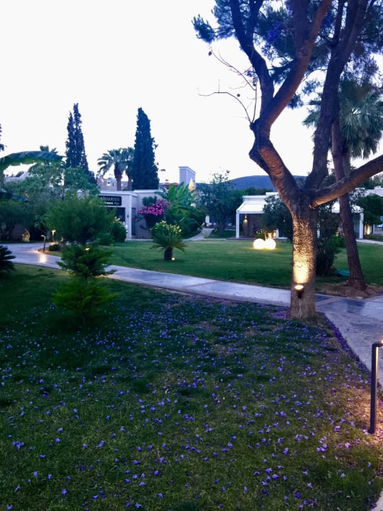 Gartenanlage Asteria Venus Didim