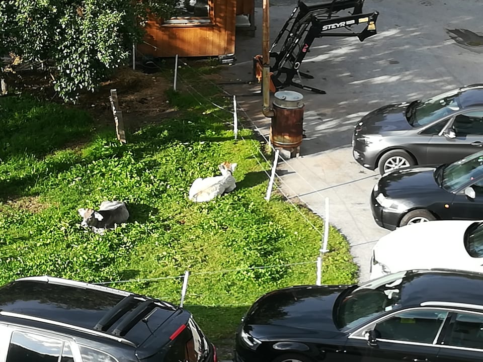 Ausblick Tilia living