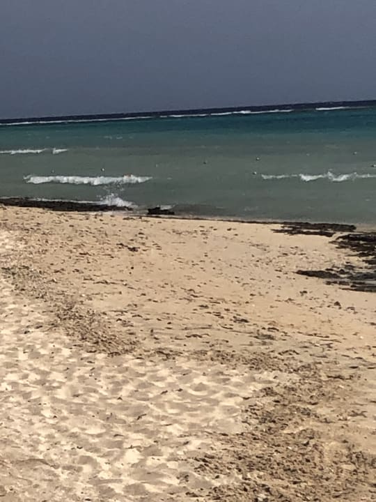 Strand Hotel Gorgonia Beach Resort