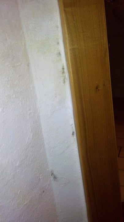 Wasserschaden Gasthof Bergheimat