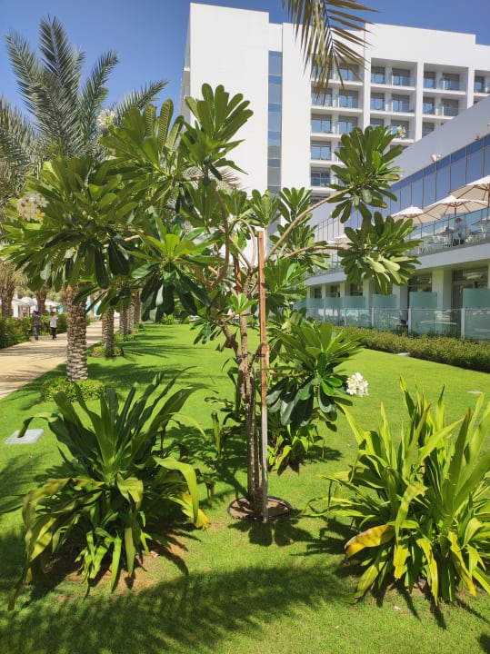 Gartenanlage Hotel Riu Dubai