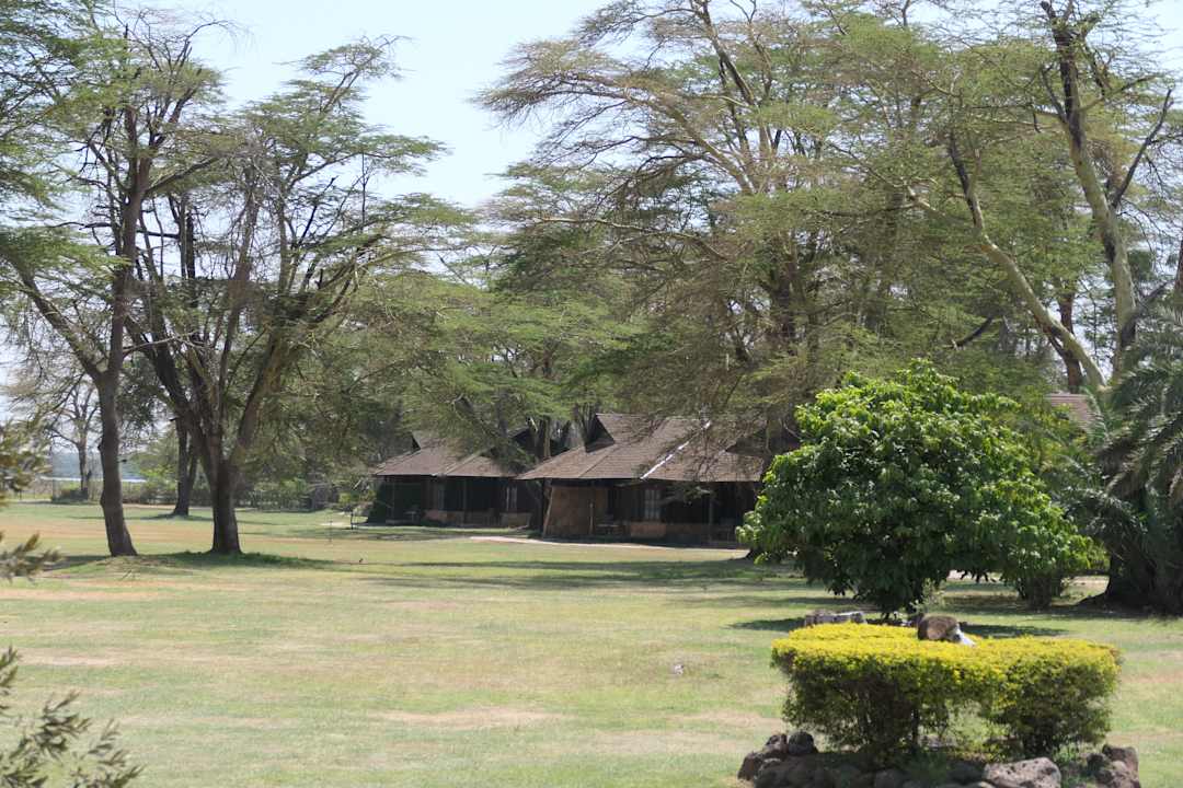 Gartenanlage Ol Tukai Lodge