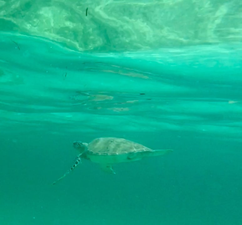 Sport & Freizeit Akumal Bay Beach & Wellness Resort