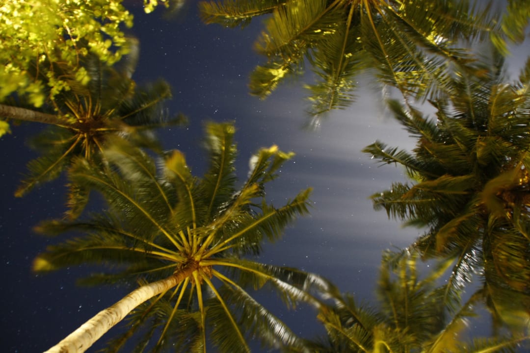 Gartenanlage Cinnamon Hakuraa Huraa Maldives