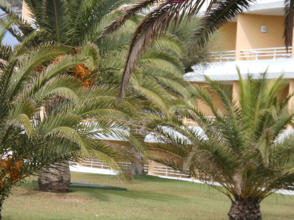 Tropisches Paradies Hotel Exagon Park