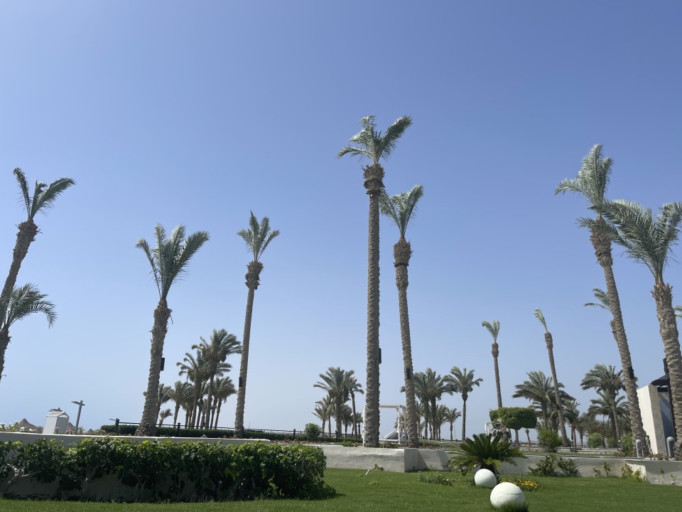 Außenansicht Pickalbatros Palace Hotel-Port Ghalib