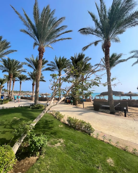 Strand Palm Royale Resort - Soma Bay