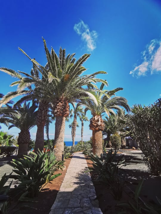 Gartenanlage Marina Playa Suite Hotel