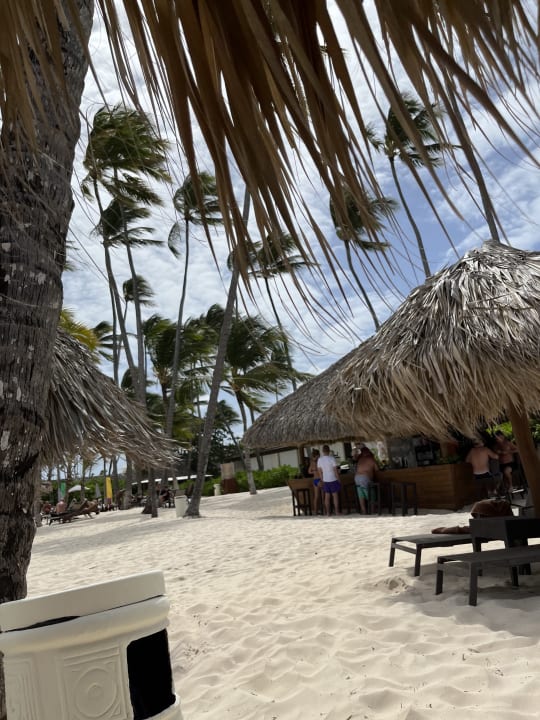 Gastro Dreams Royal Beach Punta Cana