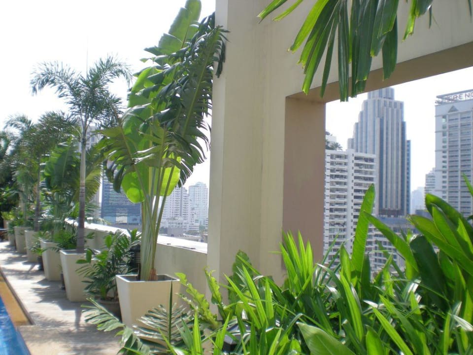 Ausblick vom Pool Grand Mercure Bangkok Asoke Residence