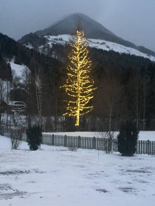 Ausblick Appartement Hotel Erlhof Deluxe