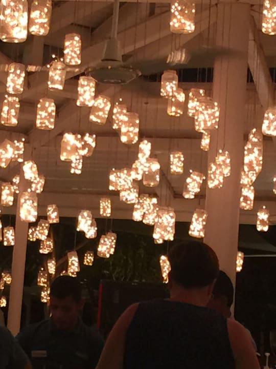 Sonstiges Desert Rose