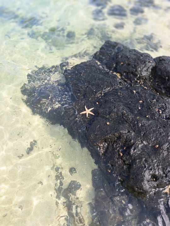 Strand Tropical Attitude - Adults only