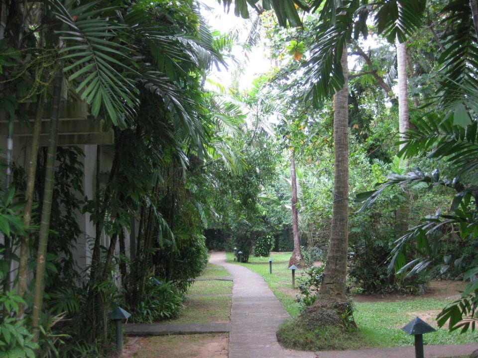 Vor den Zimmern Hotel Jetwing Tropical Villas