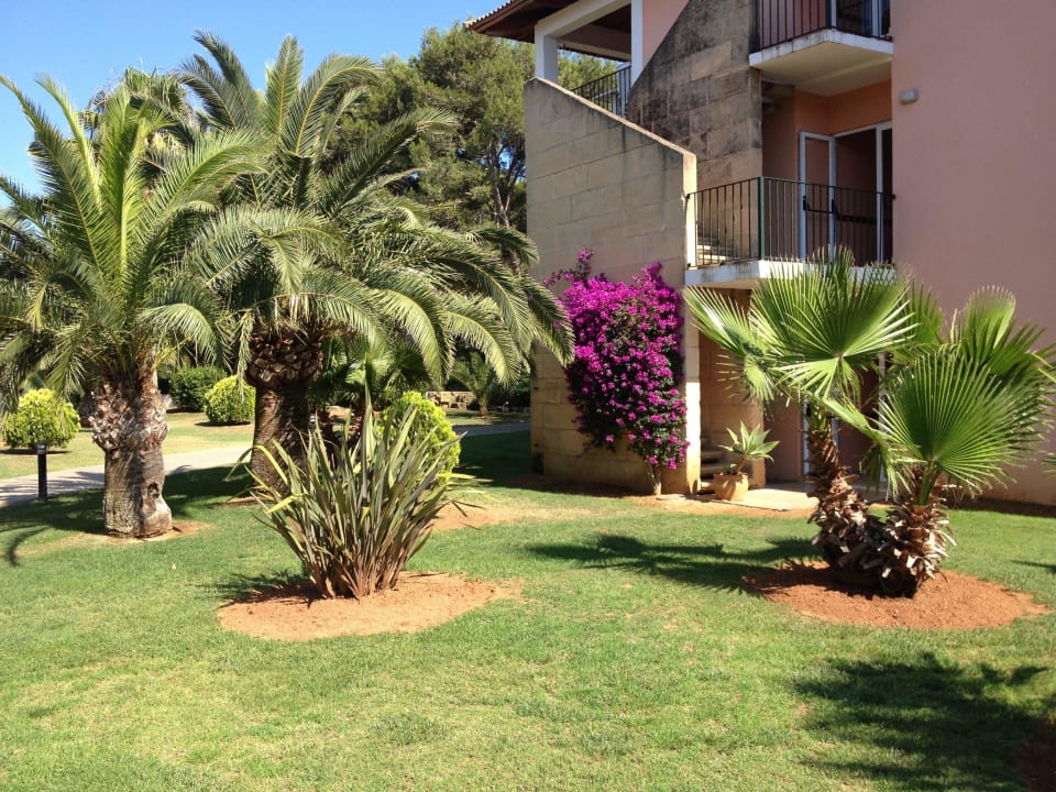 Palmen Blau Colònia Sant Jordi