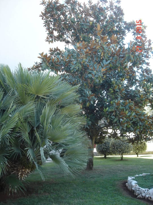 Gartenanlage rund ums Hotel Apartments Park Plava Laguna