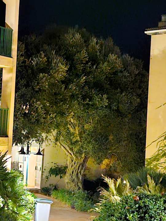Außenansicht Zafiro Cala Mesquida