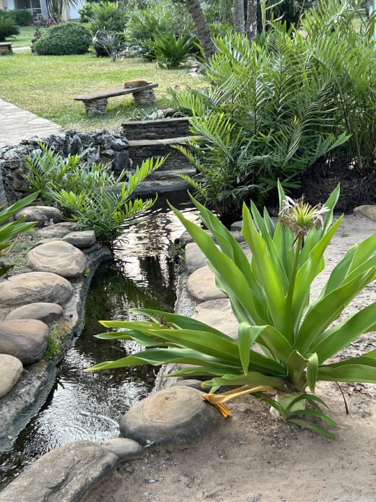 Gartenanlage Bahari Beach Hotel