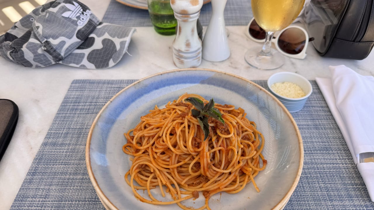 Gastro JAZ Elite Amara