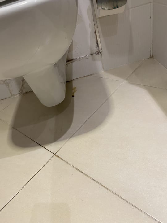 Zimmer Kamelya Aishen Club