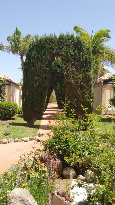 Gartenanlage allsun Hotel Esplendido