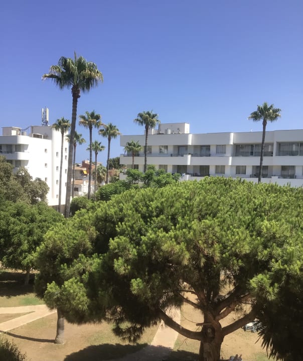 Zimmer Tropicana Hotel
