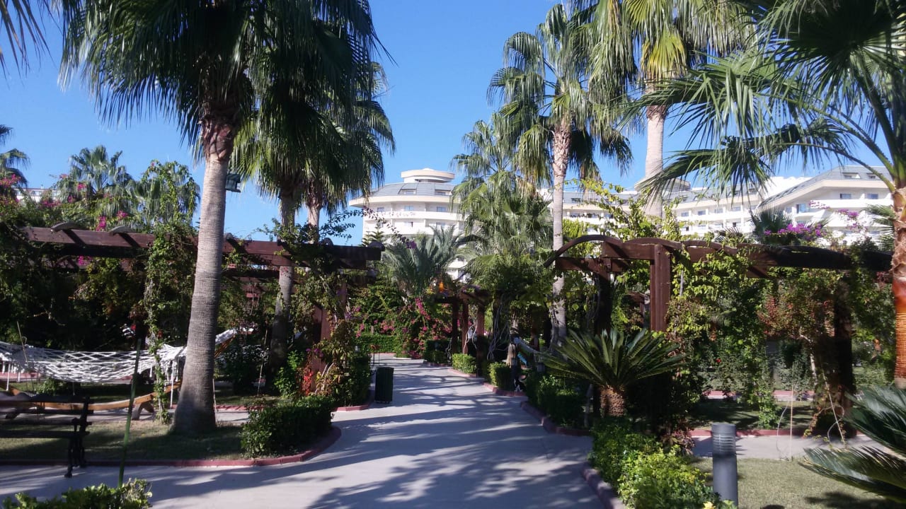 Вид на отель из сада Saphir Resort & Spa