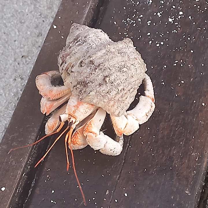 Strand Summer Island Maldives