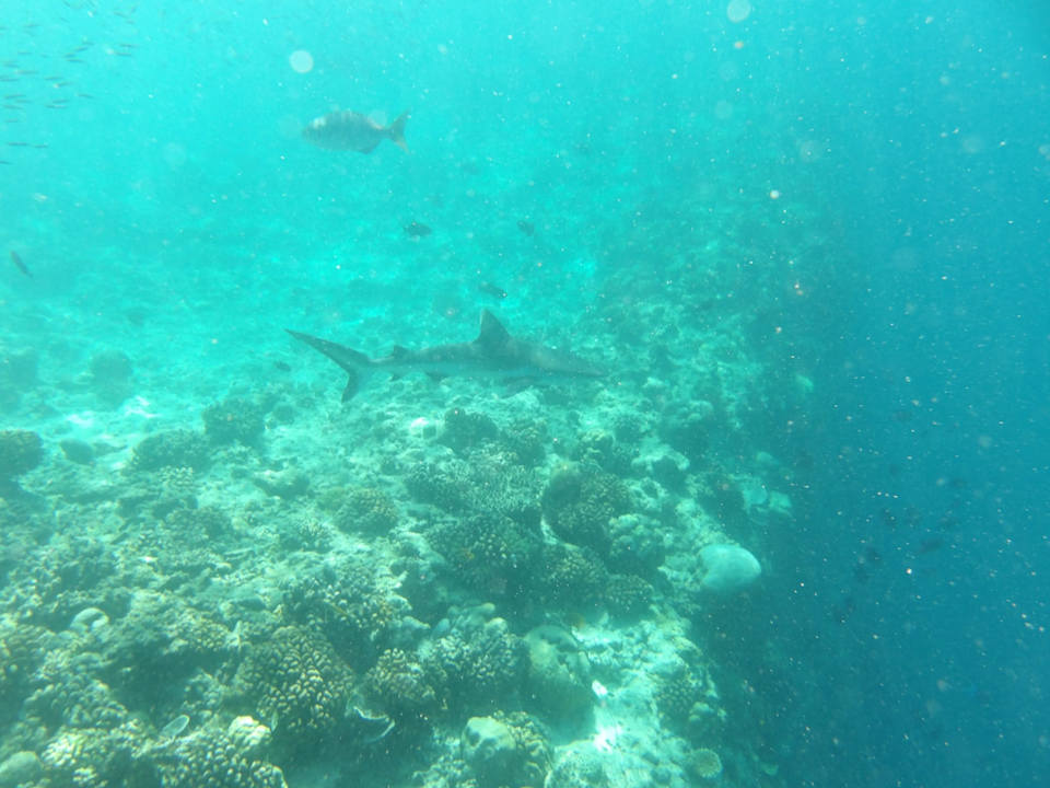 Sport & Freizeit Ellaidhoo Maldives by Cinnamon