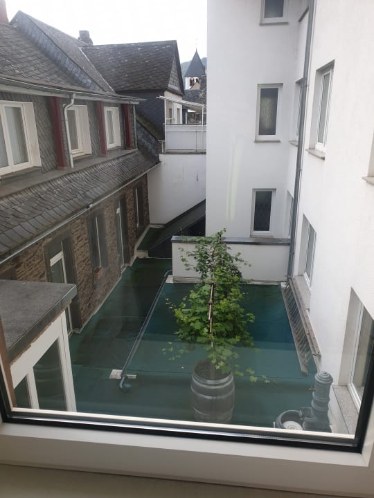 Ausblick Moselstern Hotel Brixiade & Triton