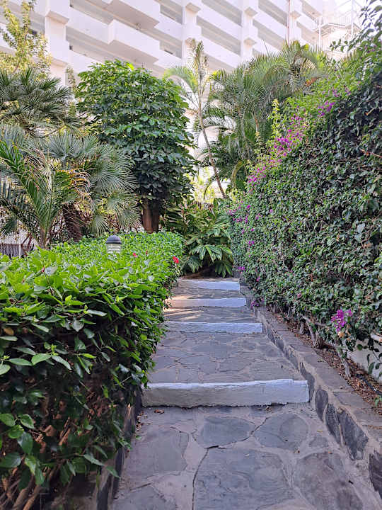 Pool allsun Hotel Lucana