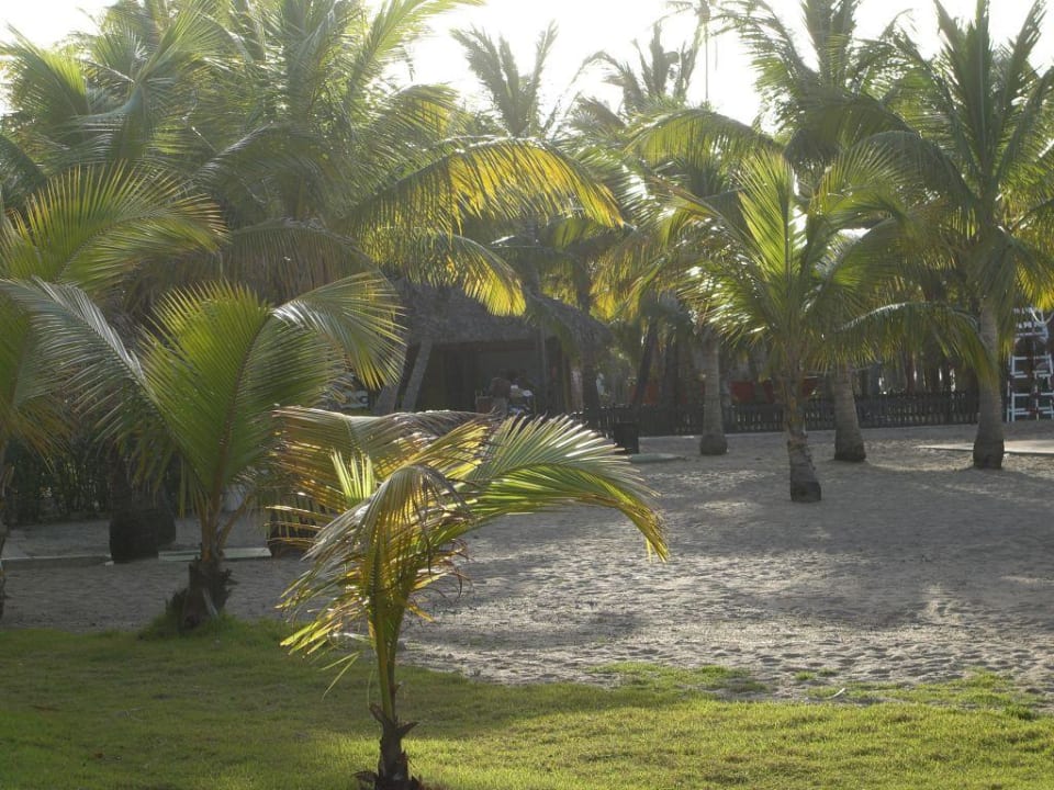 Stand Playabachata Hotel