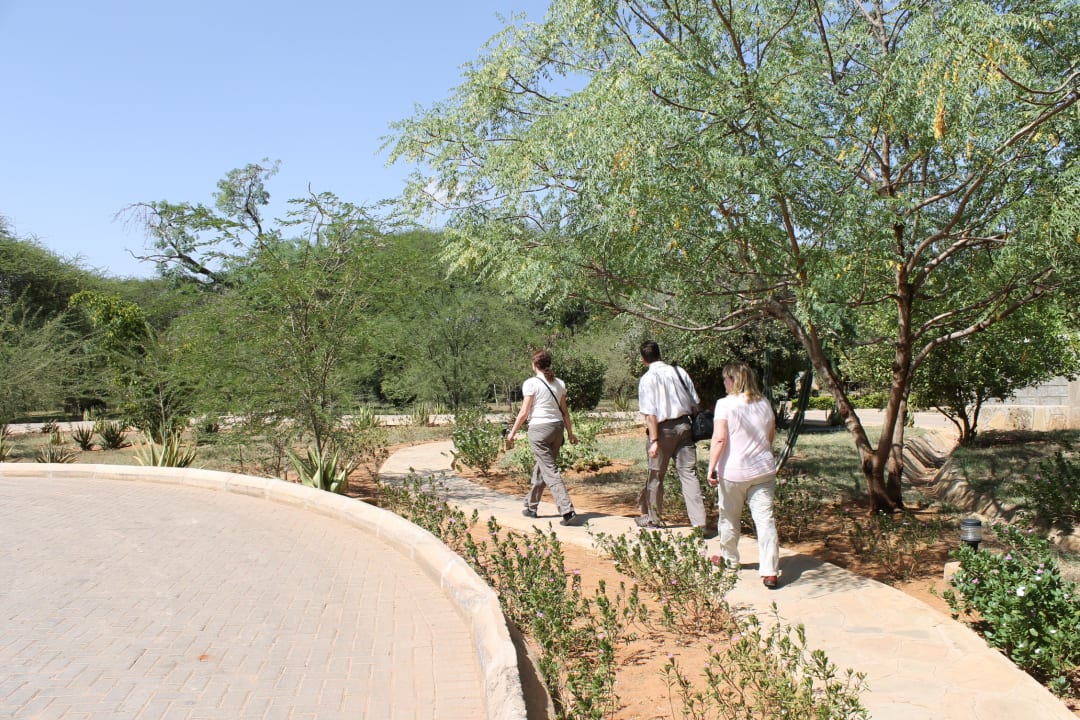 Alles ordentlich Ashnil Aruba Lodge