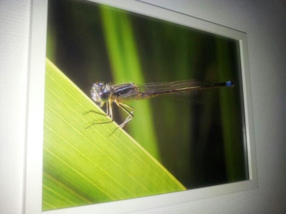 Deko Ferienwohnungen im Strandpark