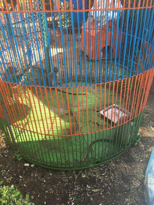 Gartenanlage Riviera Aqua Park Resort