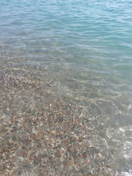Strand Asteria Collection Side